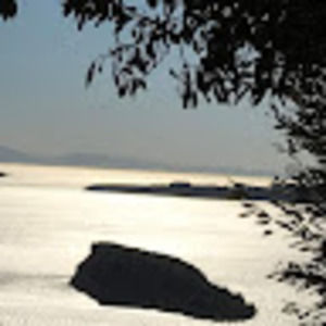 Meet your Posher, Vivian